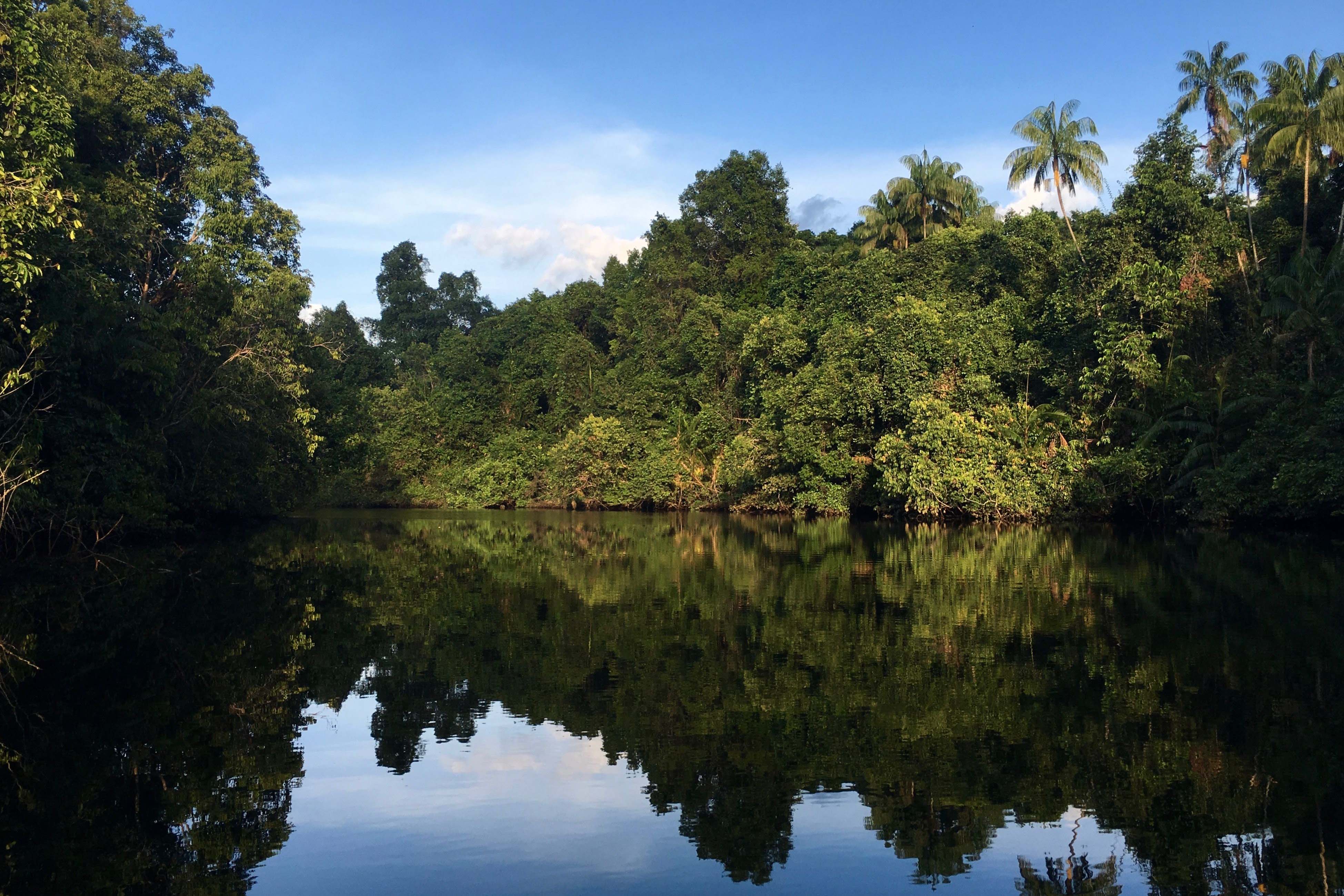 Cambodia Highlights: Culture, Beaches & Nature - Botum Sakor National Park