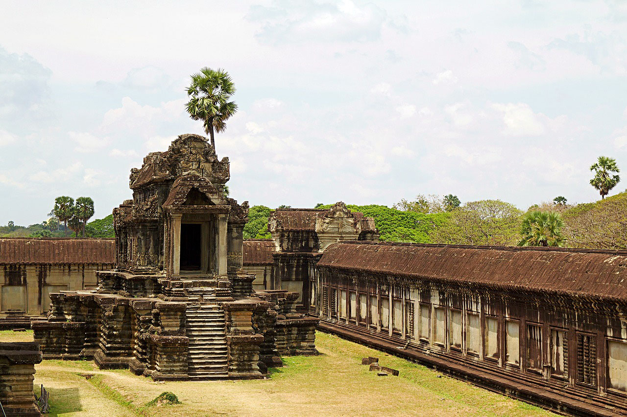 Search for Cambodia: Elephants and Rainforest - Siem Reap