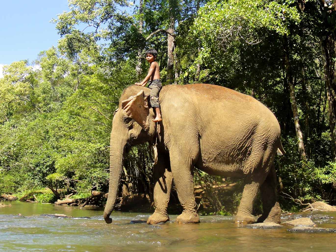 Phnom Penh to Mondulkiri Province