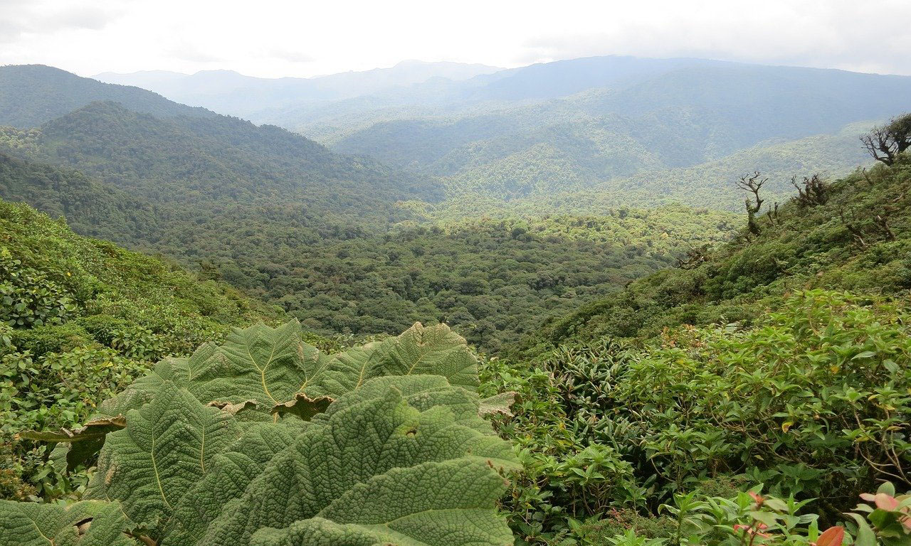 Costa Rica - Arenal and Monteverde