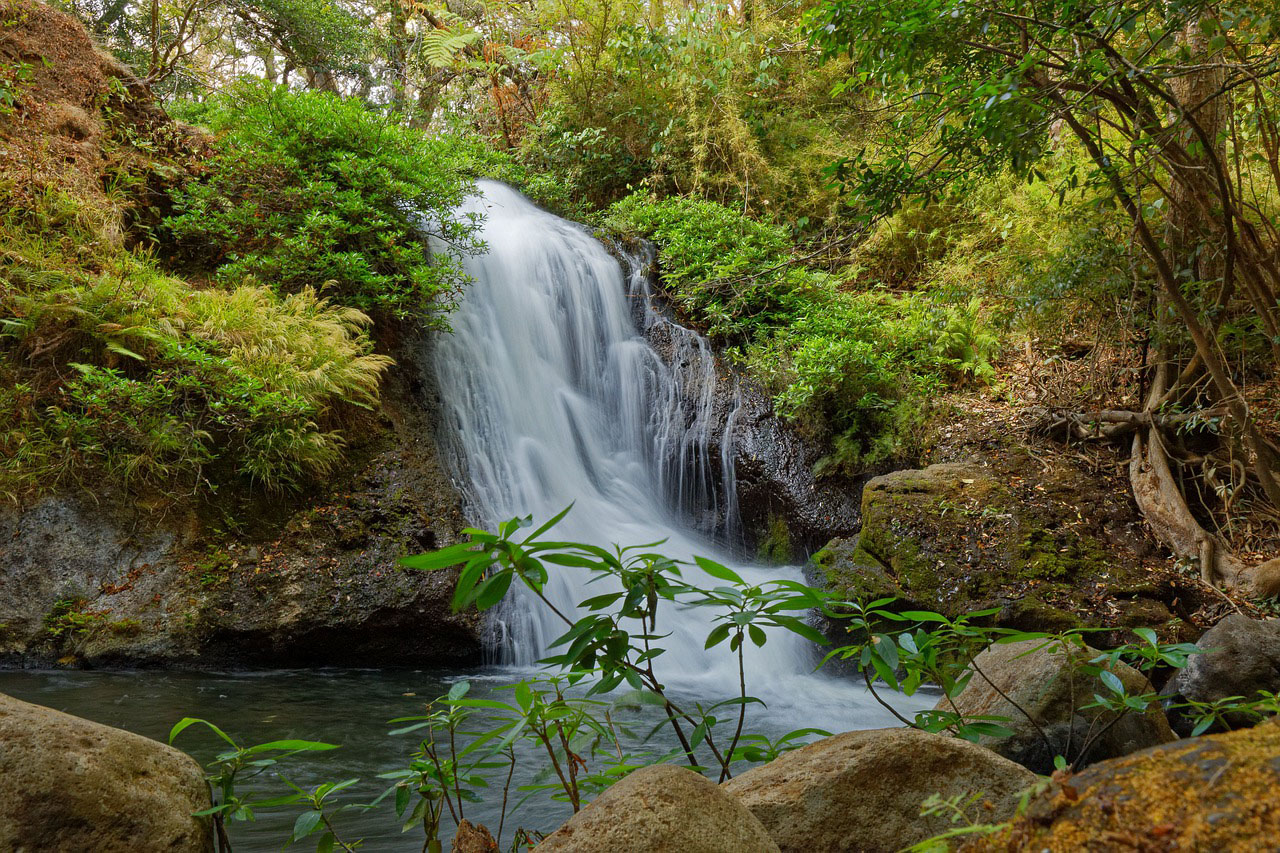 Rafting, Volcanoes and Beach Relaxation - Explore Costa Rica - Pacuare River, waterfall