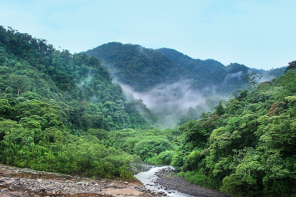 Self-Drive Adventure: From San José to the Pacific Ocean - Cloud Forest