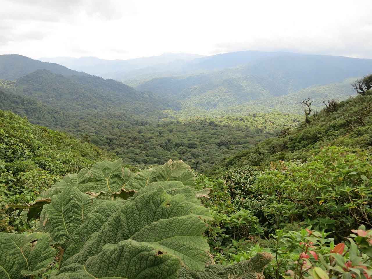 Exploring Arenal and Monteverde