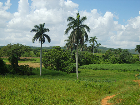 Soroa – Las Terrazas – San Diego