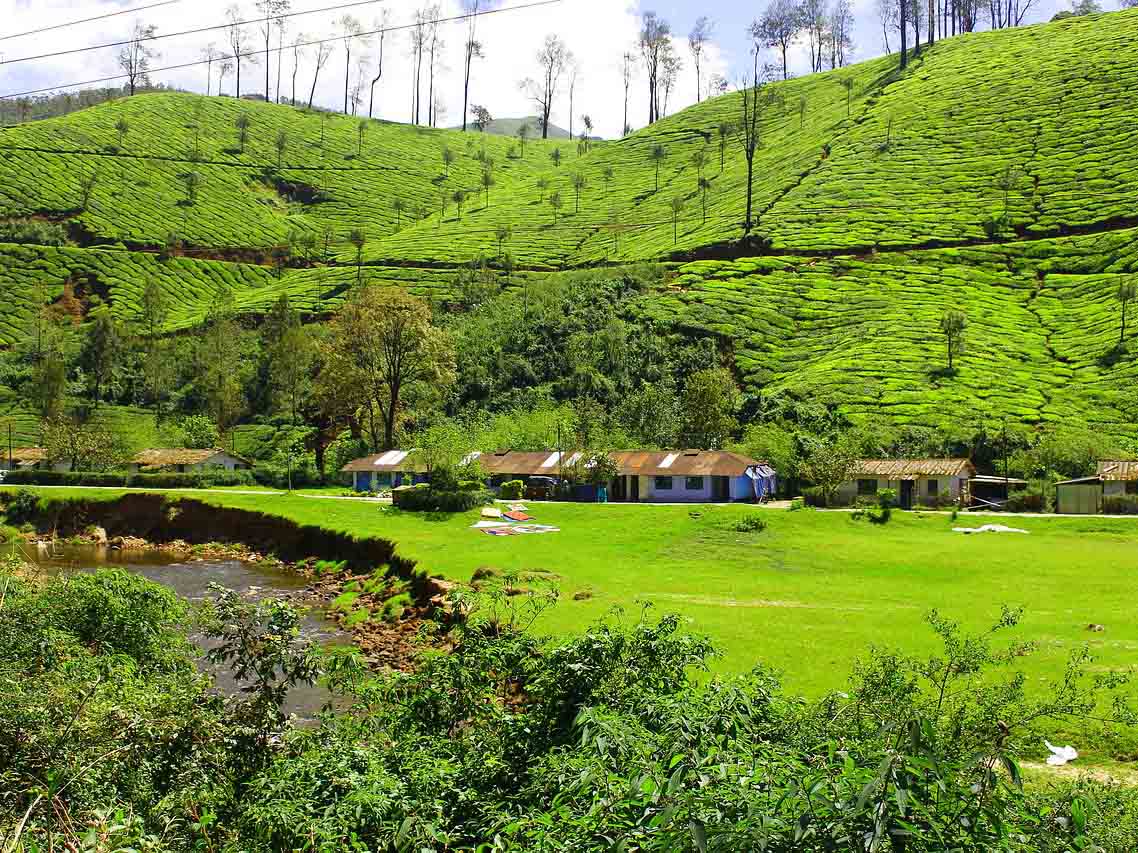 Free Day in Munnar