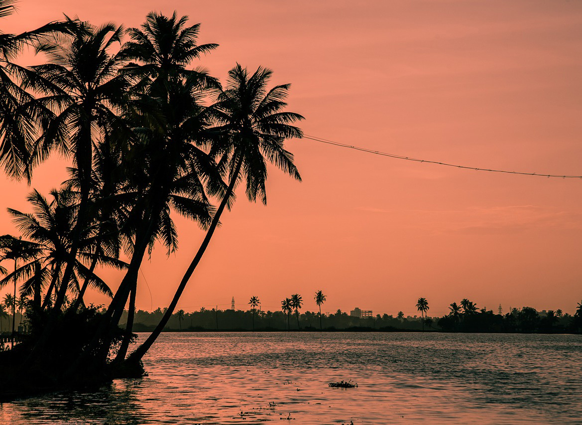 Classic Kerala and the Beach