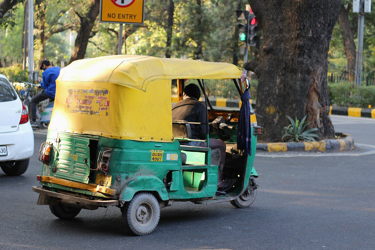 Wildlife and Culture of the Golden Triangle - Delhi