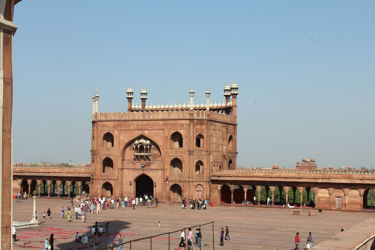 Wildlife and Culture of the Golden Triangle - Old Delhi