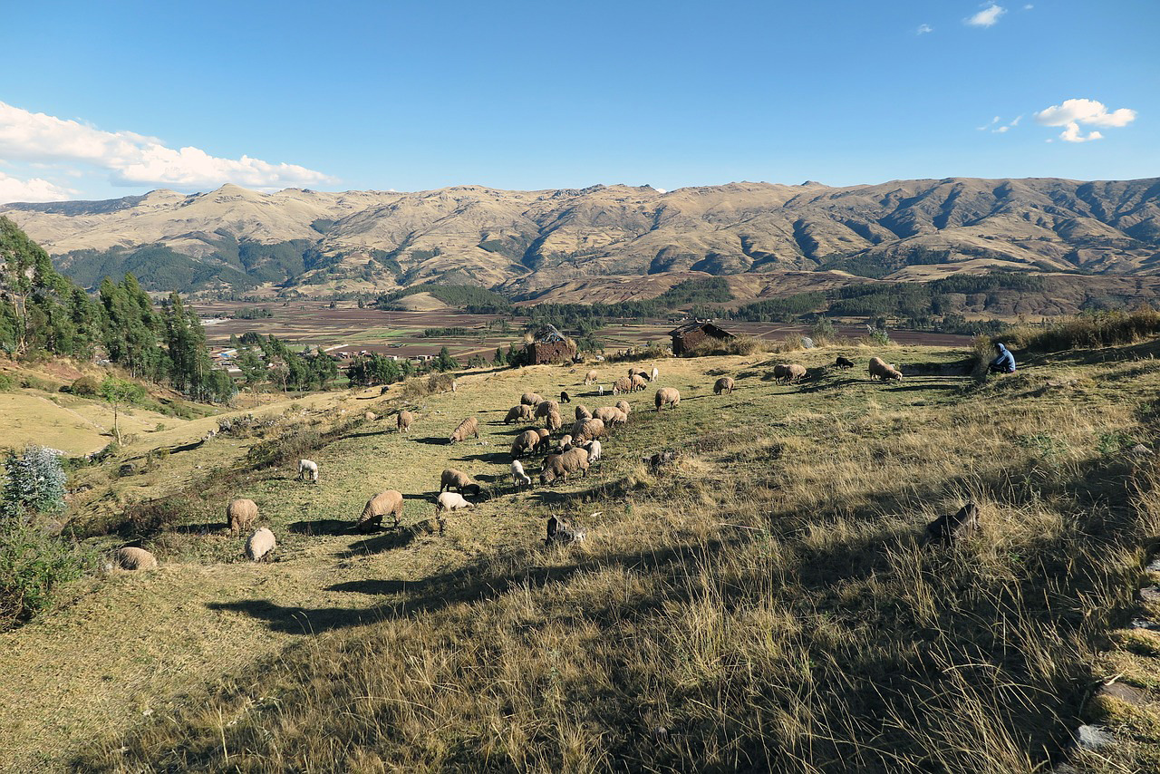 Family adventure in Peru - Sacred Valley