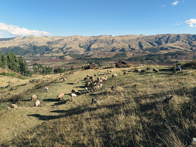 Way to Cusco and Sacred Valley